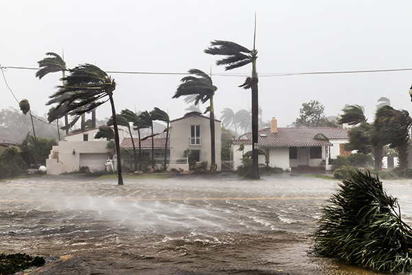 Disaster Access - Healthcare Ready